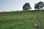 2011-07-15 KPF 58.jpg